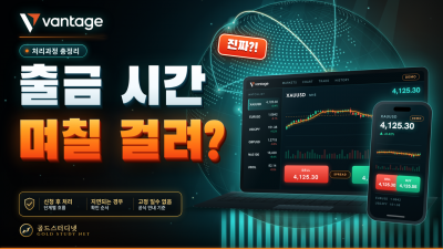 Vantage 출금 시간은 얼마나 걸릴까? 실제 처리과정과 지연되는 경우