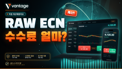 Vantage RAW ECN 수수료 직접 계산해봤습니다