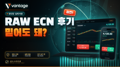 Vantage RAW ECN 후기 전에 봐야 할 장단점과 실제 비용