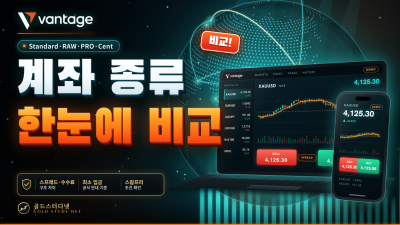Vantage 계좌 종류 비교, Standard·RAW·PRO·Cent·스왑프리 한눈에
