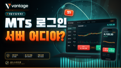 Vantage MT5 로그인 방법과 서버 찾기, 연결 안 될 때 체크
